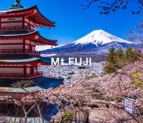 Mt.FUJI