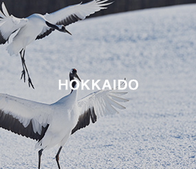 HOKKAIDO