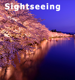 See
